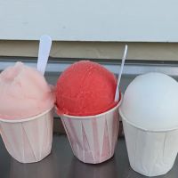 The Ice Factory ico
