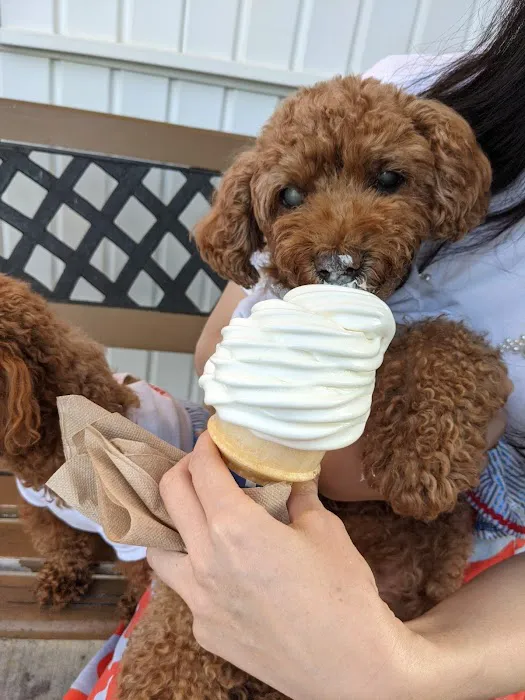 Ernie's Ice Cream Picture 5