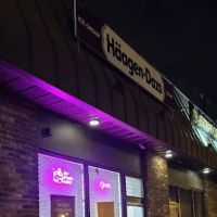 Häagen-Dazs Ice Cream Shop ico