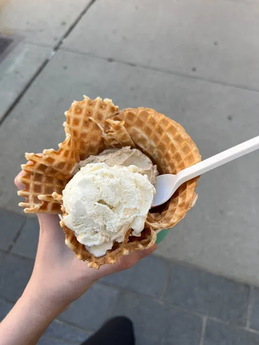 Van Leeuwen Ice Cream Picture 5