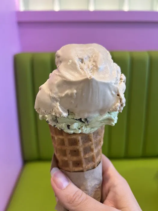 Van Leeuwen Ice Cream Picture 3