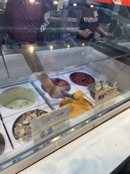 Häagen-Dazs Picture 2