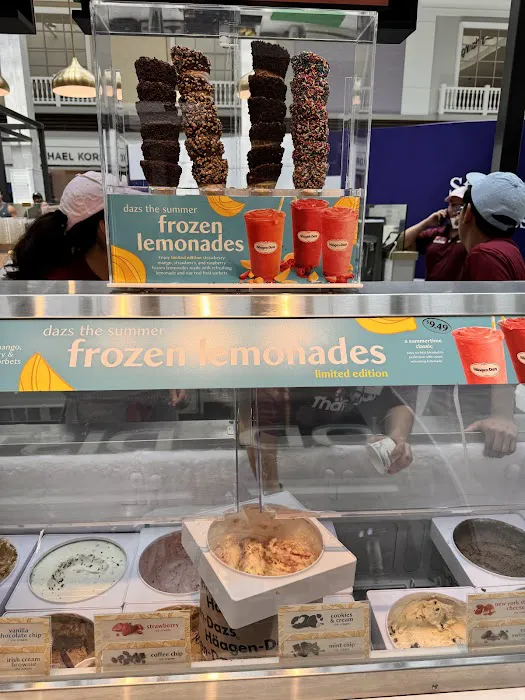 Häagen-Dazs Picture 10