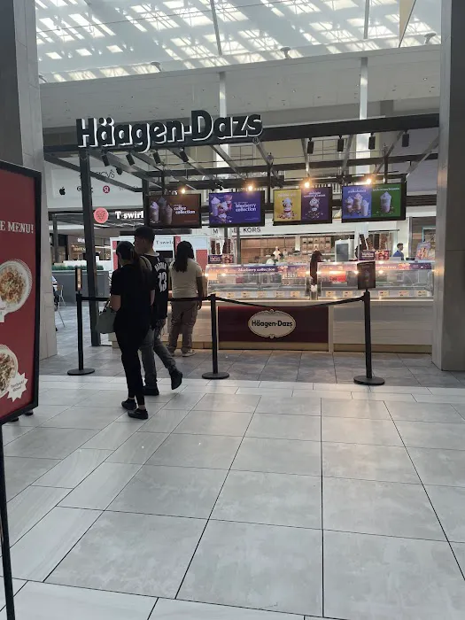 Häagen-Dazs Picture 1