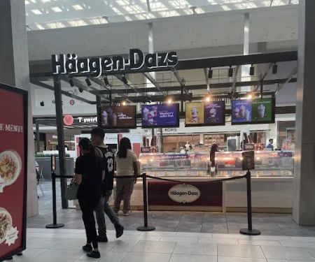 Hu00e4agen-Dazs
