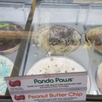 The Ice Cream Shoppe ico