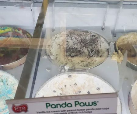 The Ice Cream Shoppe