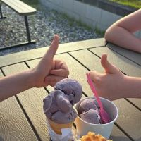 Shelby’s Ice Cream Stand ico