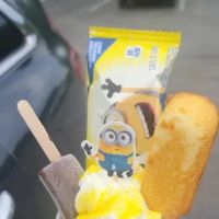 Zippy's Ice Cream ico