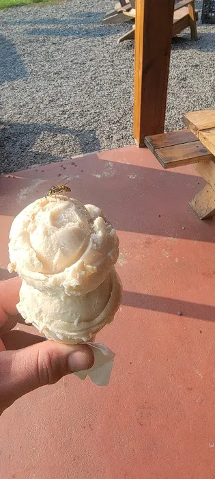 Zippy's Ice Cream Picture 7