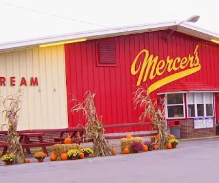 Mercer's Dairy