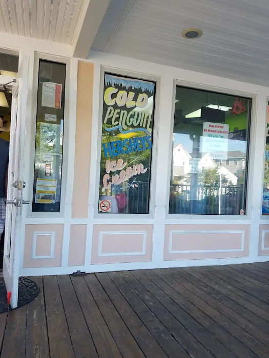 Cold Penguin Ice Cream Picture 8
