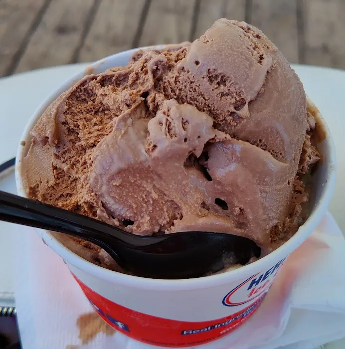 Cold Penguin Ice Cream Picture 6