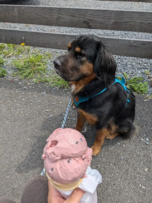 Sweet E’s Ice Cream Picture 9