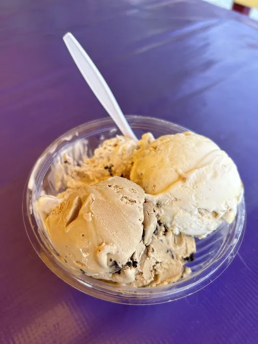Cone E Island Ice Cream Picture 2