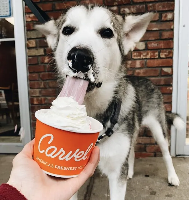 Carvel Picture 5