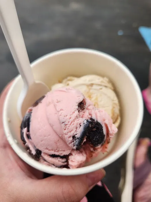 Polly's Ice Cream & Espresso Picture 2