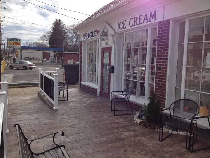 Sprinkles Ice Cream Shoppe Picture 1