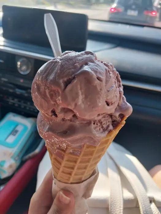Sprinkles Ice Cream Shoppe Picture 5
