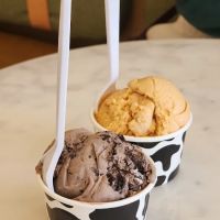 Melba Ice Creamery ico