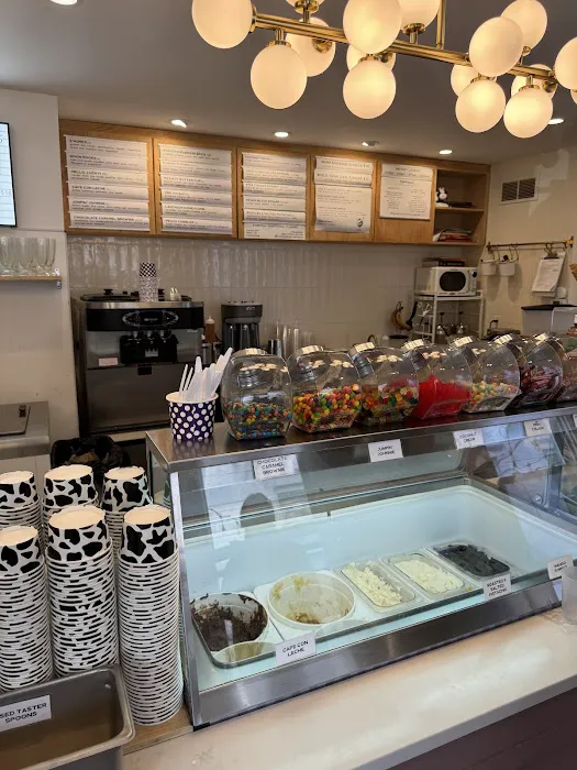 Melba Ice Creamery Picture 4