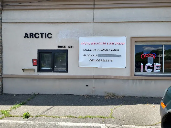 Arctic Ice Cream Picture 3