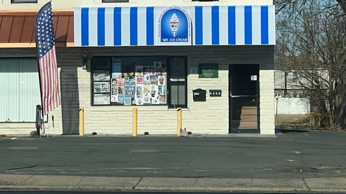 US Mr Ice Cream Picture 5