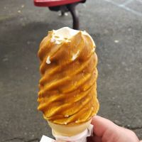 Dairy Delite ico