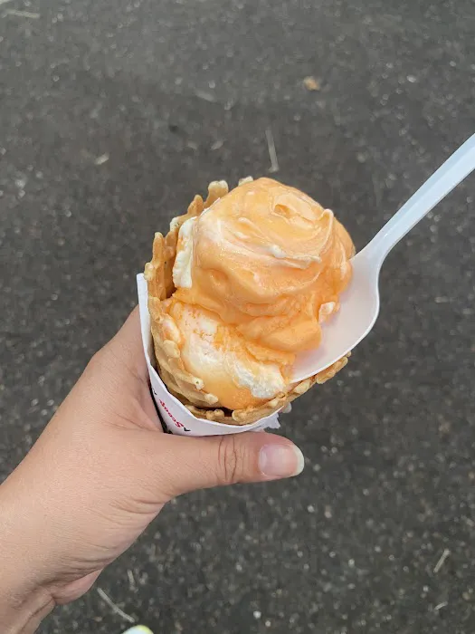Bruster's Real Ice Cream Picture 9