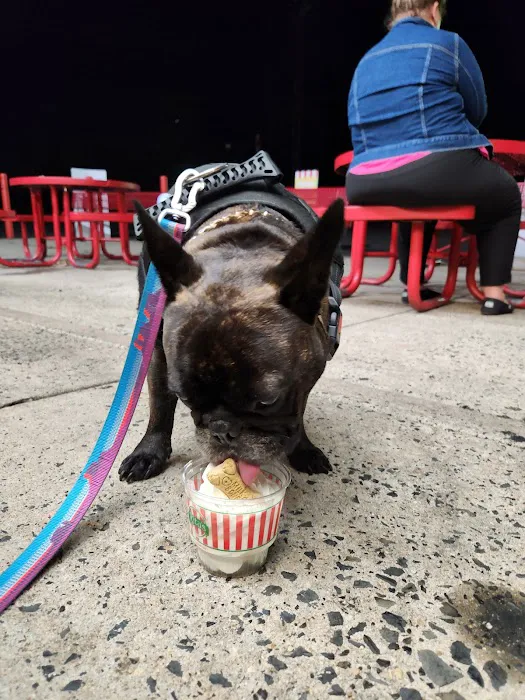 Rita's Italian Ice & Frozen Custard Picture 8