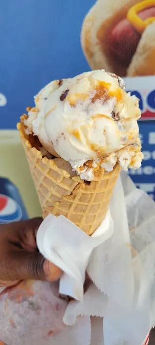 Ozzy’s ice cream shop Picture 6