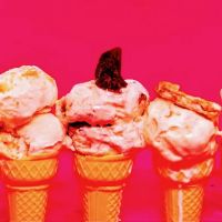 Craved Kreations ico