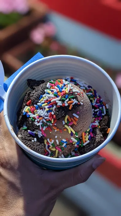 Kingsessing Ice Cream Shop Picture 7