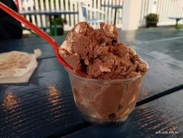 Dippy's Custard & Ice Cream Picture 2