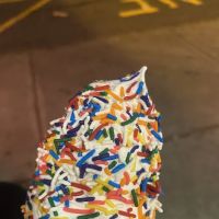 The Towne Scoop ico