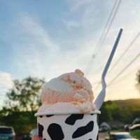 Hometown Creamery - North Haledon ico