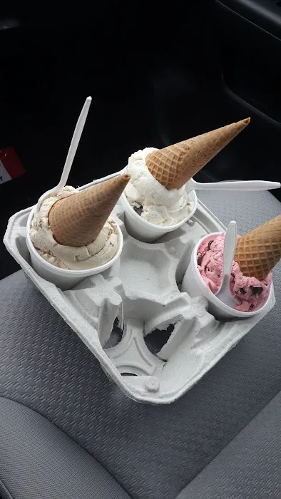 Van Dyk's Homemade Ice Cream Picture 1