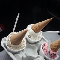 Van Dyk's Homemade Ice Cream ico
