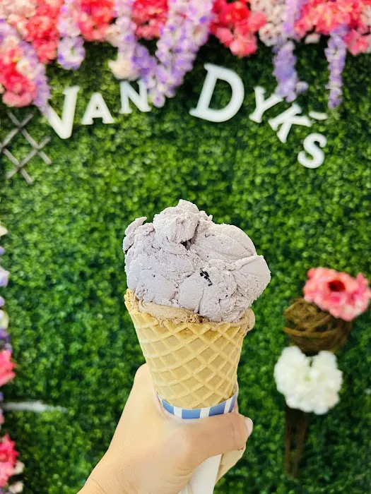 Van Dyk's Homemade Ice Cream Picture 2