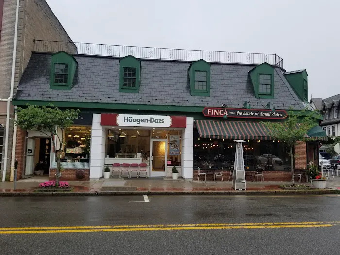 Häagen-Dazs Ice Cream Shops Picture 9