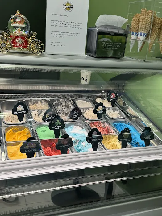 Harvy’s Homemade Style Icecream Picture 8