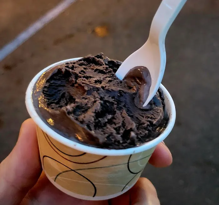 Village Ice Cream Parlour Picture 7