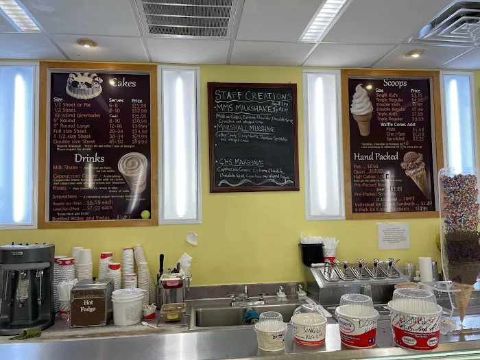 Village Ice Cream Parlour Picture 4