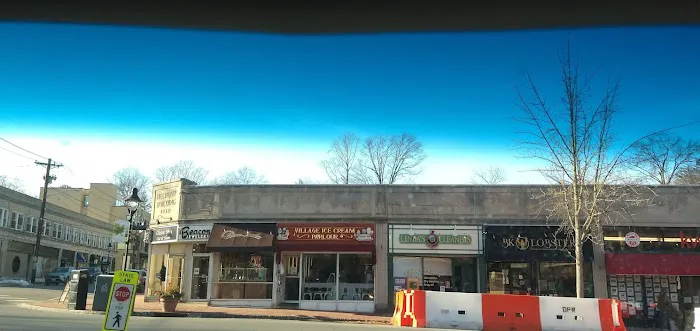 Village Ice Cream Parlour Picture 8