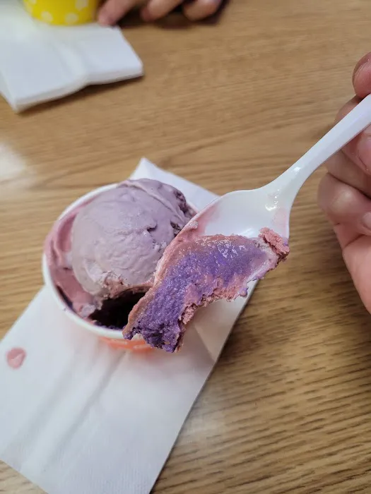 Magic Fountain Union Creamery Homemade Ice Cream Picture 6
