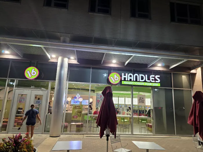 16 Handles Picture 6