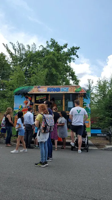 Kona Ice Picture 2