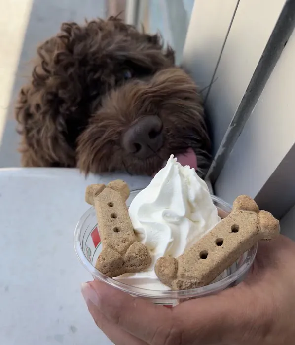 Rita's Italian Ice & Frozen Custard Picture 1