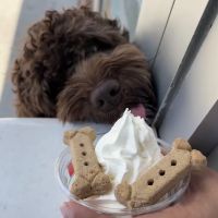 Rita's Italian Ice & Frozen Custard ico