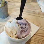 SoliDairy Creamery